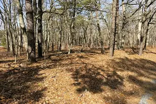 3 Pinewood Dr, Little Egg Harbor, NJ 08087 - Photo 1