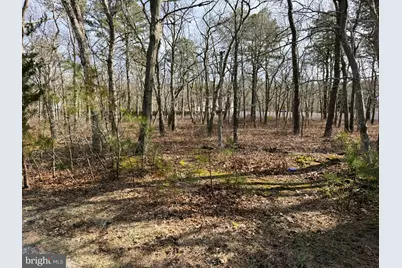 16 Pinewood Drive, Little Egg Harbor, NJ 08087 - Photo 6