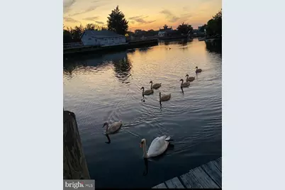 230 S Green Street, Tuckerton, NJ 08087 - Photo 14