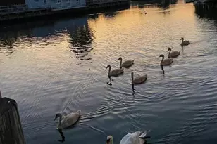 230 S Green St, Tuckerton, NJ 08087 - Photo 14