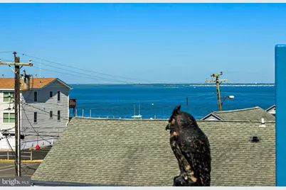 527 Engleside Avenue, Beach Haven, NJ 08008 - Photo 46
