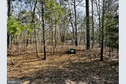 20 Pinewood Drive, Little Egg Harbor, NJ 08087 - Photo 2