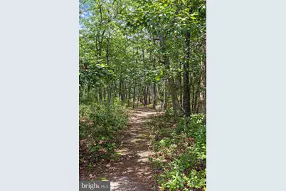 10 Cedar Avenue, Manahawkin, NJ 08050 - Photo 22