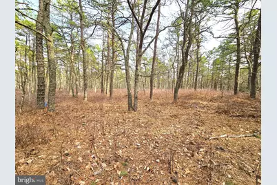 17 Birchwood Drive, Tuckerton, NJ 08087 - Photo 2