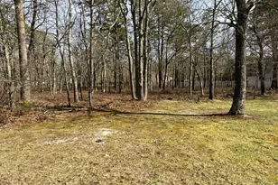 17 Birchwood Dr, Tuckerton, NJ 08087 - Photo 1