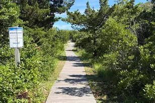 9 E 10th St, Barnegat Light, NJ 08006 - Photo 8