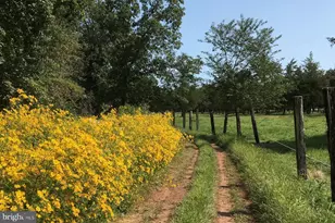 1015 Cherry Hill Rd, Princeton, NJ 08540 - Photo 24