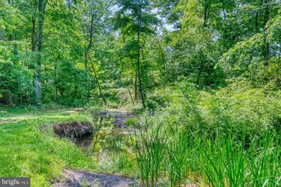 31 Shepard Way, Basking Ridge, NJ 07920 - Photo 28