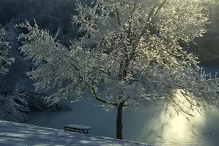 33 Ward Rd, Blairstown, NJ 07825 - Photo 50