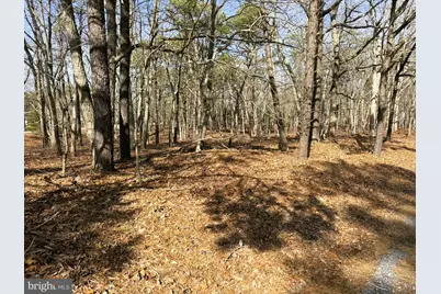 3 Pinewood Drive, Little Egg Harbor, NJ 08087 - Photo 1