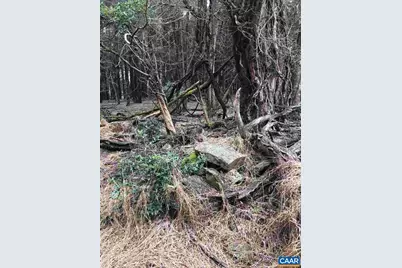 503 Garden Ln Lane, Palmyra, VA 22963 - Photo 10