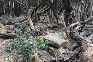 503 Garden Ln Ln, Palmyra, VA 22963 - Photo 10