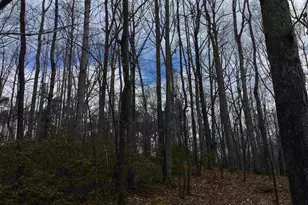 503 Garden Ln Ln, Palmyra, VA 22963 - Photo 8