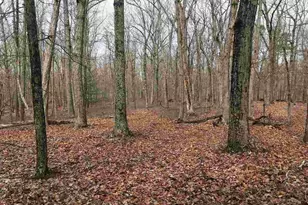 503 Garden Ln Ln, Palmyra, VA 22963 - Photo 12