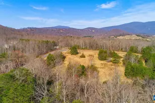 13 Bartholomew Pl, Stanardsville, VA 22973 - Photo 4