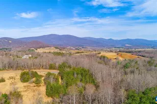 13 Bartholomew Pl, Stanardsville, VA 22973 - Photo 8