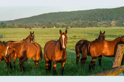 21515 Trappe Rd, Upperville, VA 20185 - Photo 46