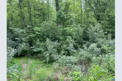 Lot B and C Montview Dr #B&C, Ruckersville, VA 22968 - Photo 6