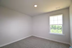 219 Riva Wy, Palmyra, VA 22963 - Photo 16