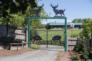 240 Stoneleigh Rd, Palmyra, VA 22963 - Photo 62