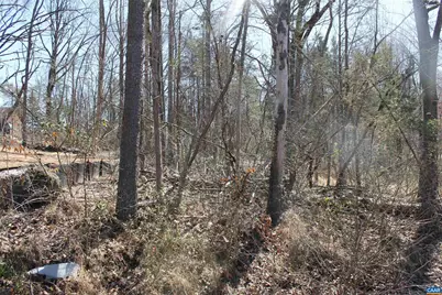 562 Locust Dr, Louisa, VA 23093 - Photo 8