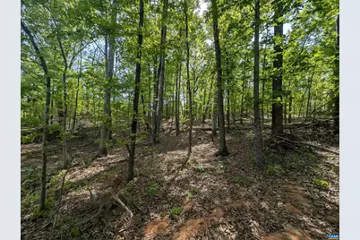 Lot 10 Advance Mills Rd, Ruckersville, VA 22968 - Photo 2