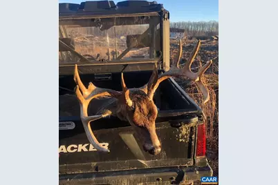 Passante Sr Ln #10 68, Gordonsville, VA 22942 - Photo 8