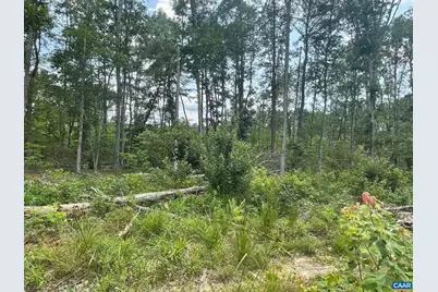 Passante Sr Ln #10 68, Gordonsville, VA 22942 - Photo 1