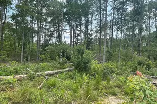 Passante Sr Ln, Gordonsville, VA 22942 - Photo 1