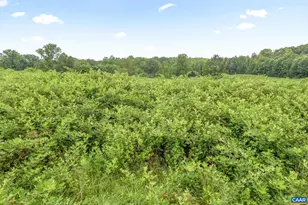 5039 James Madison Hwy, Fork Union, VA 23055 - Photo 74