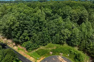 258 Palmer Pl, Ruckersville, VA 22968 - Photo 26