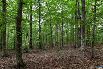 258 Palmer Pl, Ruckersville, VA 22968 - Photo 28