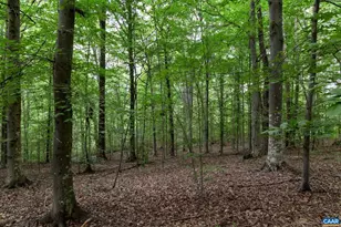 258 Palmer Pl, Ruckersville, VA 22968 - Photo 28