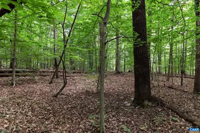 258 Palmer Pl, Ruckersville, VA 22968 - Photo 30