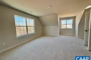 53 Porkchop Ct, Louisa, VA 23093 - Photo 28