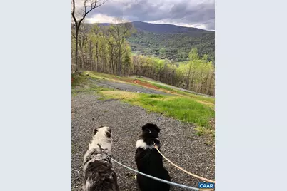 118 Lexington Ct #7, Stanardsville, VA 22973 - Photo 12