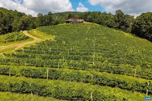 1376 Wyatt Mountain Rd, Dyke, VA 22935 - Photo 8