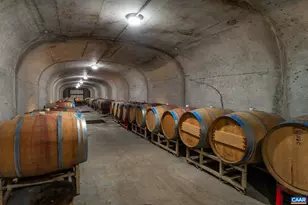 1376 Wyatt Mountain Rd, Dyke, VA 22935 - Photo 60