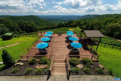 1376 Wyatt Mountain Rd, Dyke, VA 22935 - Photo 56