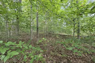 230 Beech Nut Dr, Louisa, VA 23093 - Photo 1