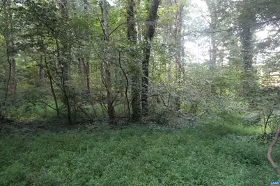 0 Seminole Trl, Rochelle, VA 22738 - Photo 10