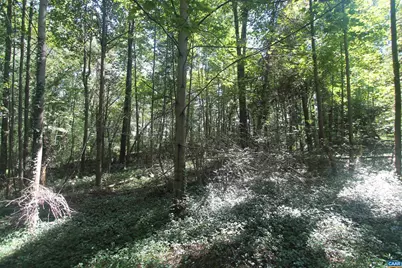 0 Seminole Trl, Rochelle, VA 22738 - Photo 8