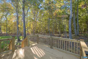 46 Union Church Rd, Palmyra, VA 22963 - Photo 50