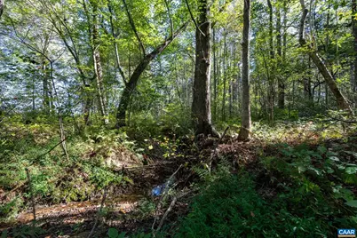 Orange Rd, Pratts, VA 22731 - Photo 6