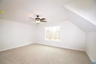 Three Chopt Rd, Kents Store, VA 23084 - Photo 28