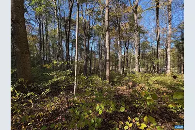 Lot E, Tm 24-30 W Hoover Rd #E, Reva, VA 22735 - Photo 6