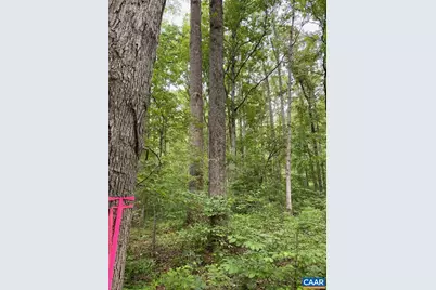 Lot 2 Waldrop Church Rd, Louisa, VA 23093 - Photo 2