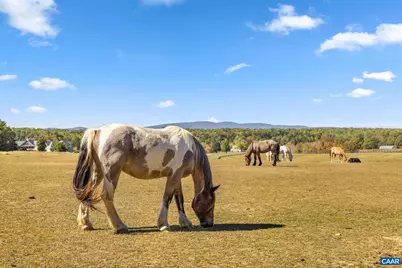 1764 Shenandoah Crossing Dr, Gordonsville, VA 22942 - Photo 50