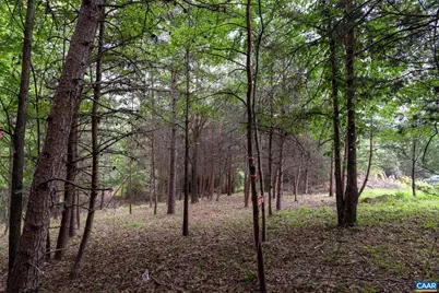 Lot 69 Palmer Pl #69, Ruckersville, VA 22968 - Photo 4