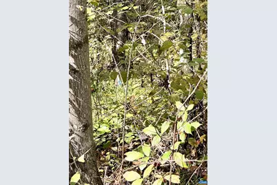 0 Riverdale Rd, Stanardsville, VA 22973 - Photo 12